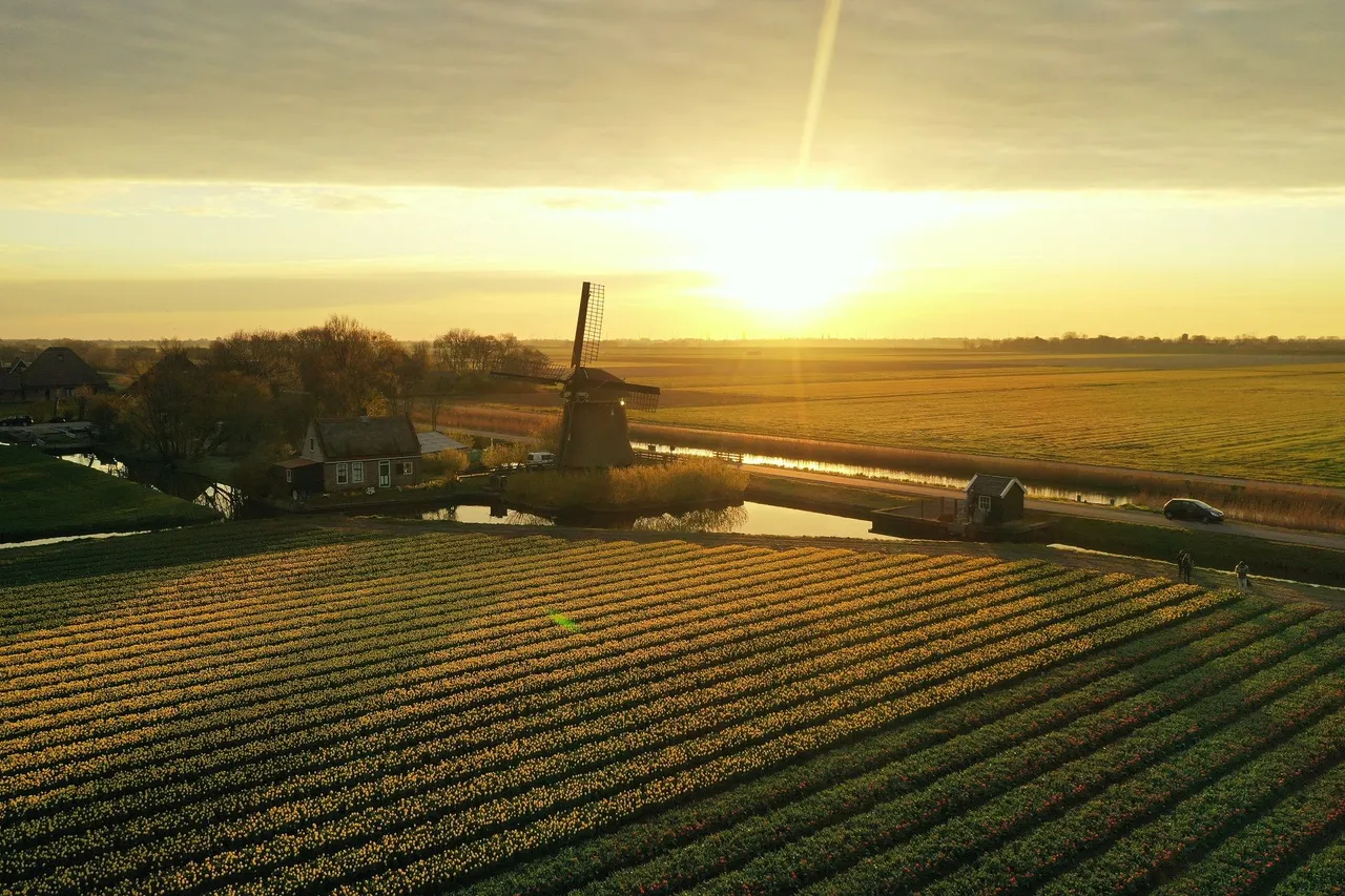 DJI_0292.jpg