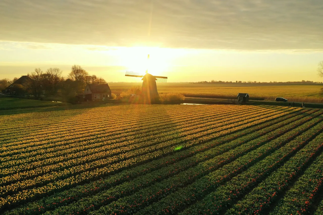 DJI_0294.jpg