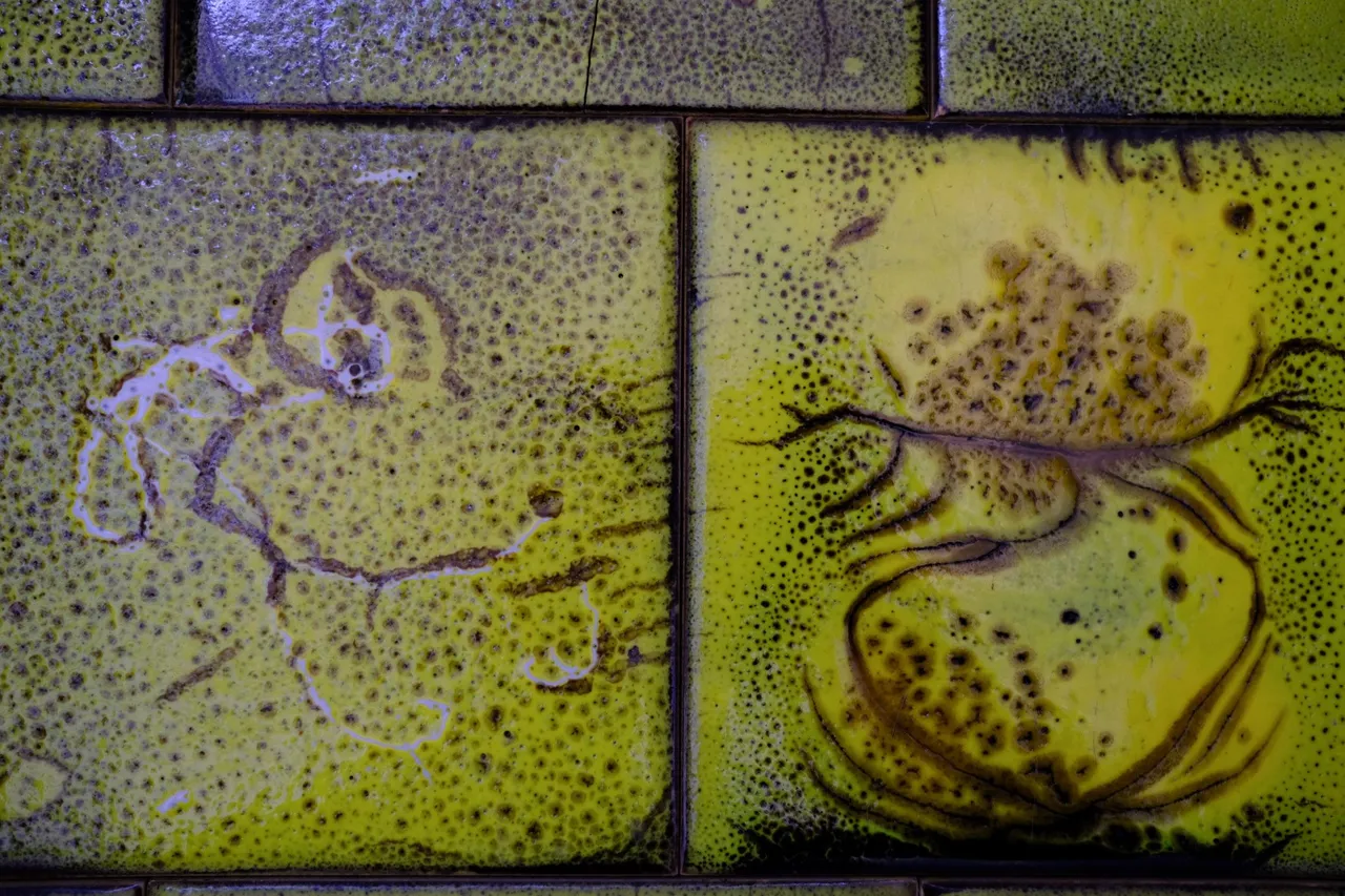 Pattern Colour 7 (1 of 1).jpg