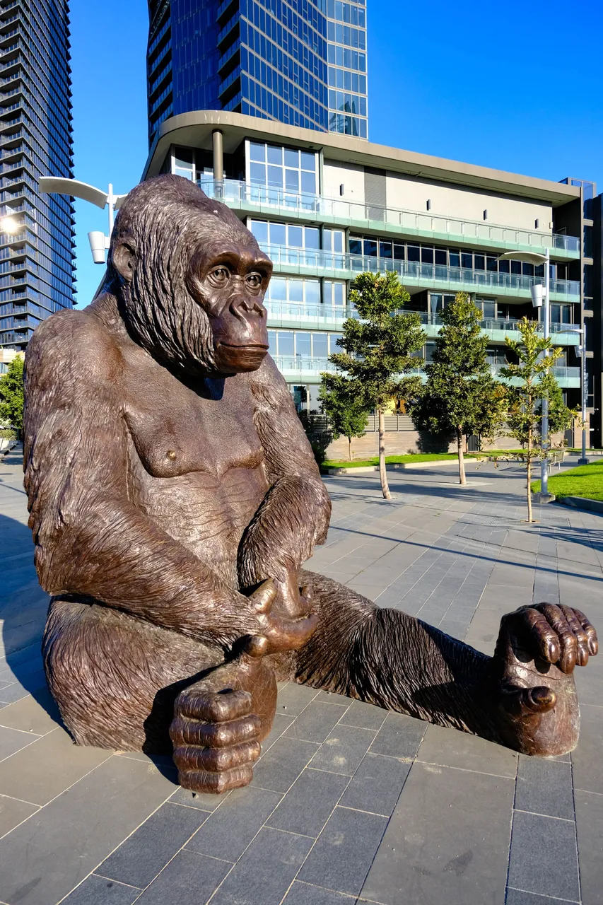 Big Gorilla (1 of 1).jpg