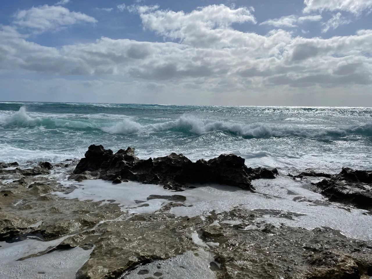 IMG_4581.jpeg
