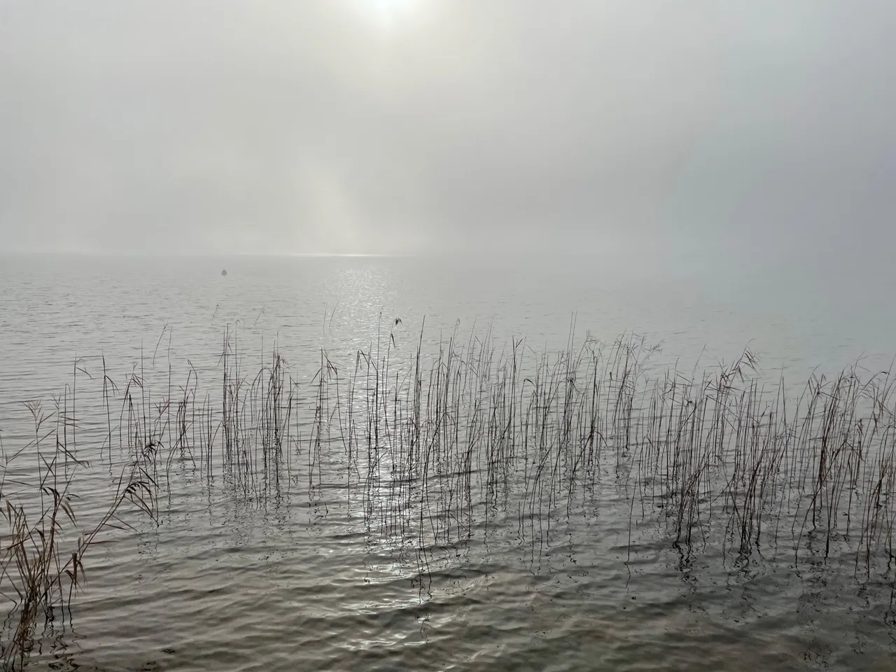 IMG_4867.jpeg