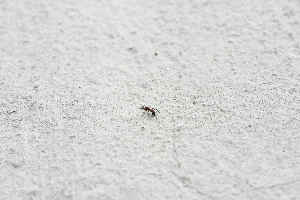 thomas-kinto-AroKeVzBoI4-unsplash.jpg