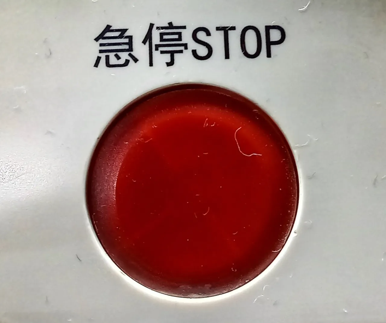 20220831_183731.jpg