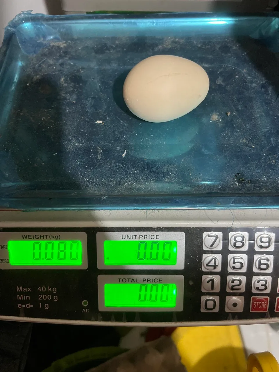 396320470_1014538789753194_6642810550947983498_n.jpg