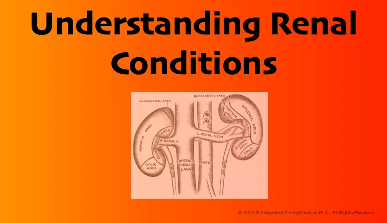 Picture Hive Understanding Kidney.jpg