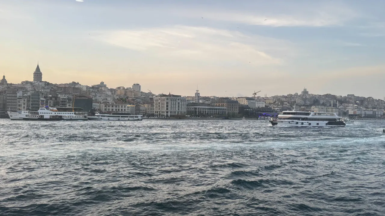IMG_4017.JPG