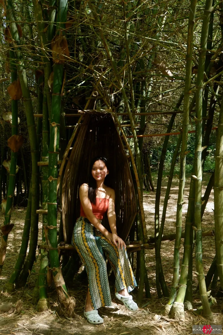 bamboo23.JPG