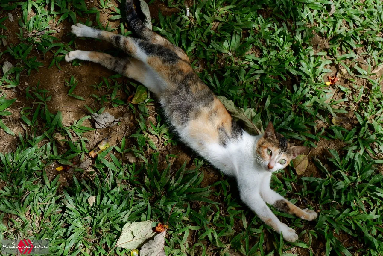 DSCF3328.JPG