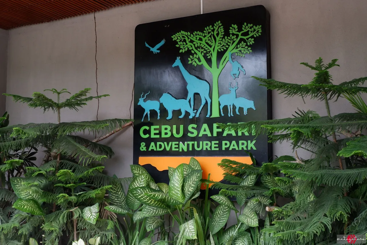 Cebu Safari (3).JPG