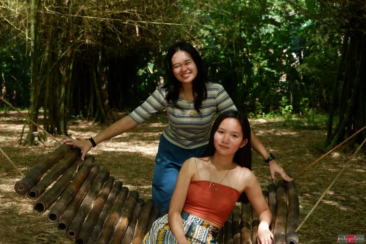 bamboo75.JPG