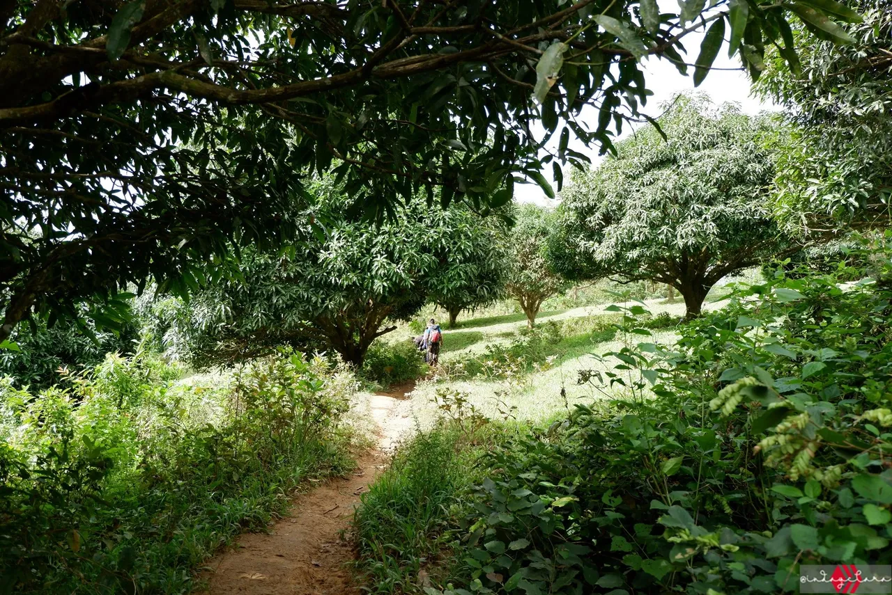 DSCF3238.JPG