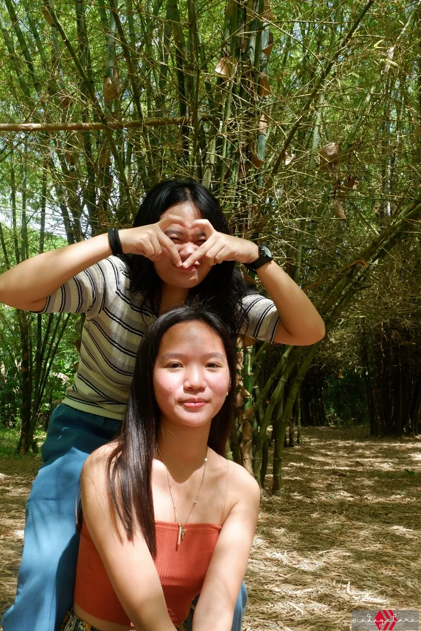 bamboo66.JPG