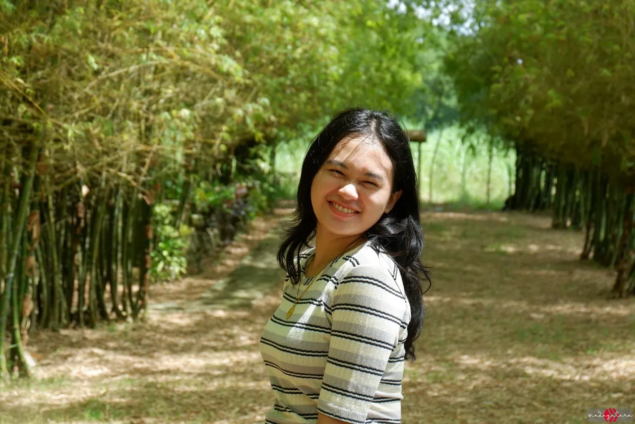 bamboo122.JPG