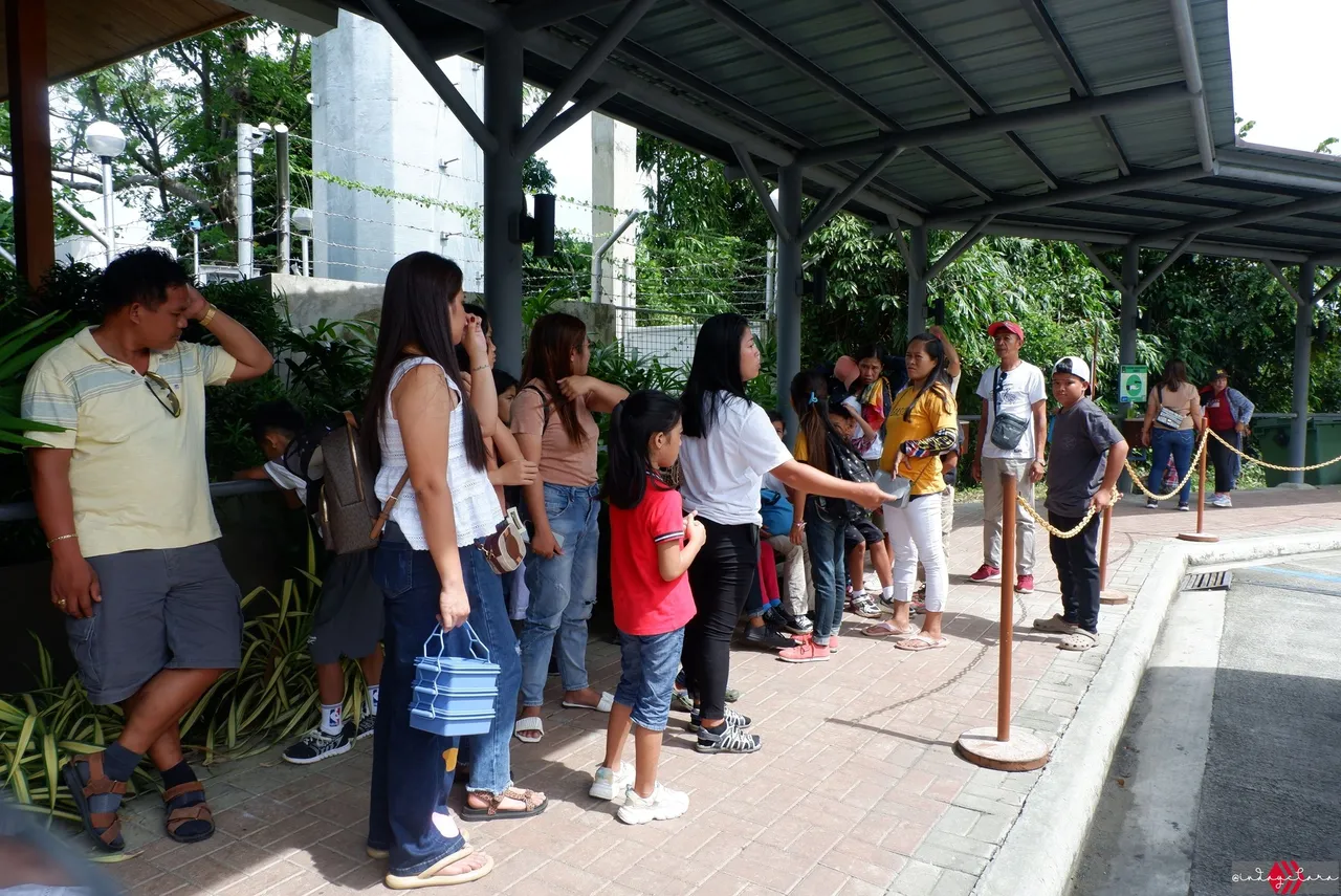Cebu Safari (2).JPG