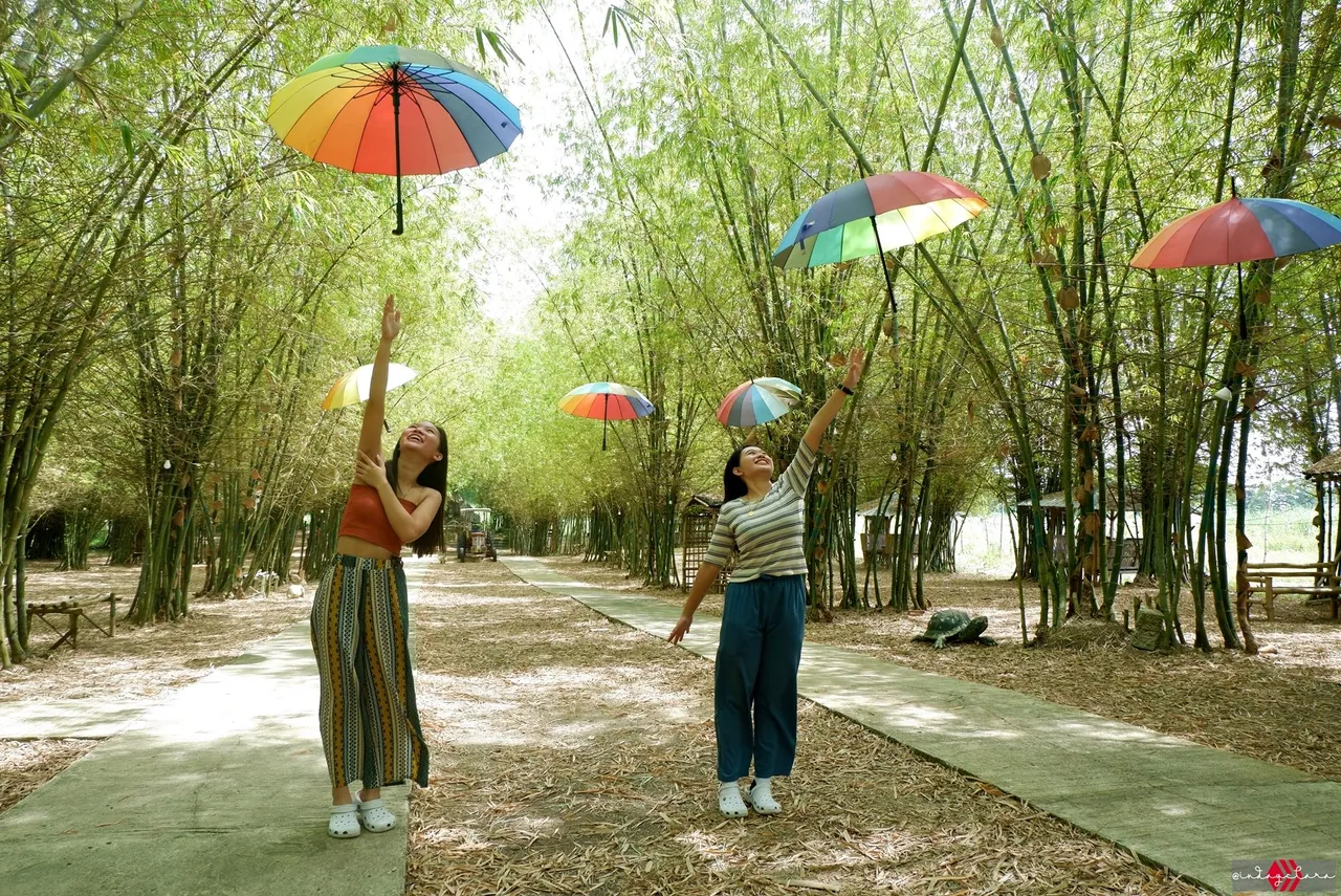 bamboo170.JPG