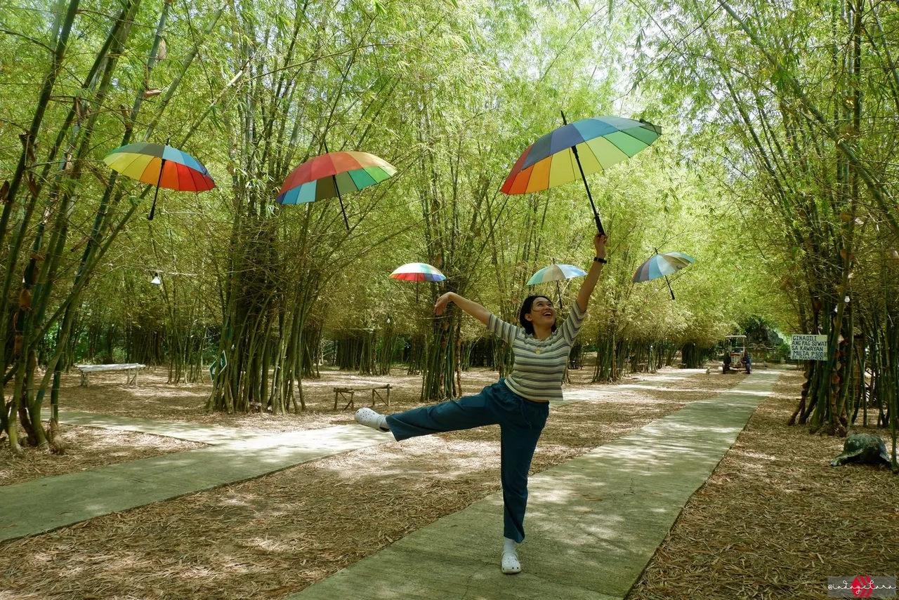 bamboo165.JPG