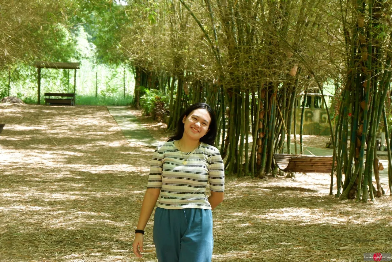 bamboo35.JPG