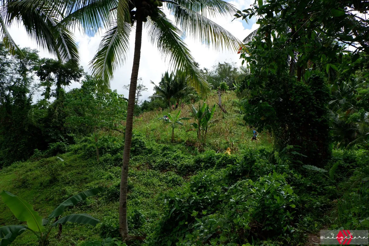 DSCF3277.JPG