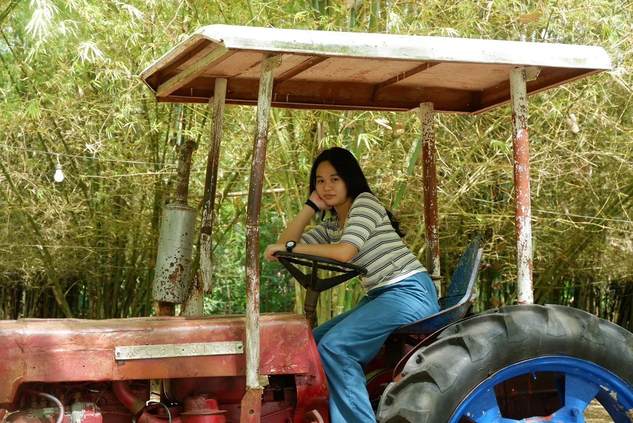 bamboo93.JPG