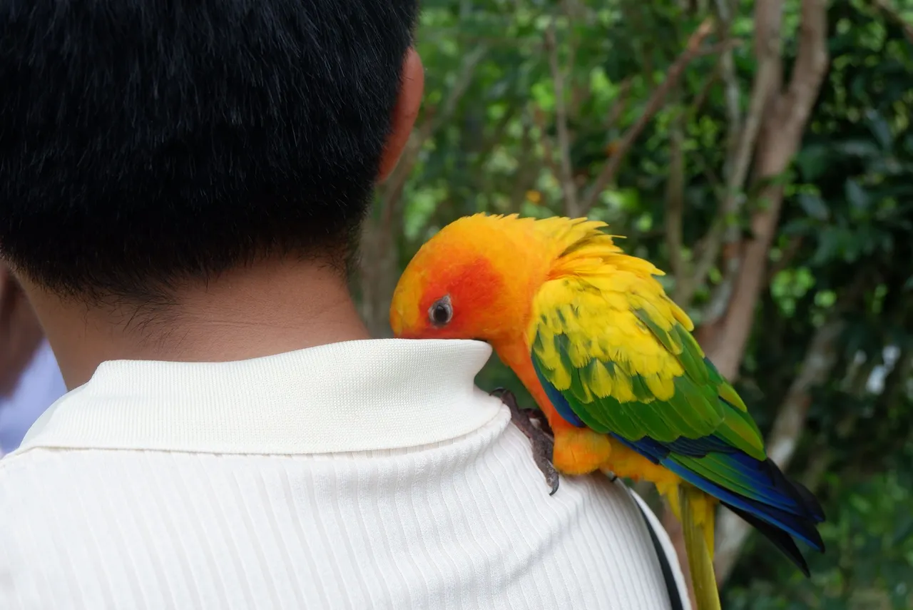 Cebu Safari (222).JPG