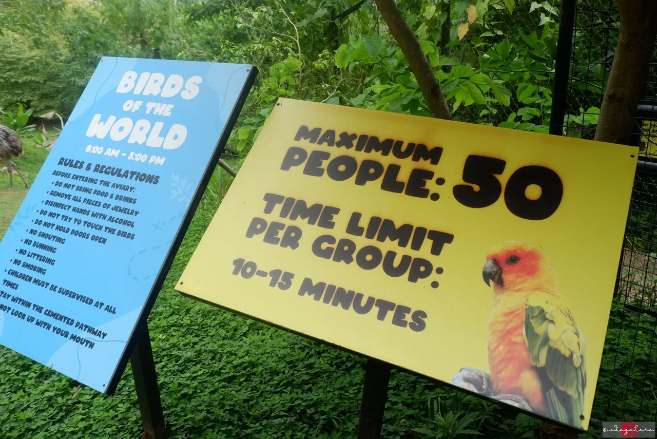 Cebu Safari (126).JPG