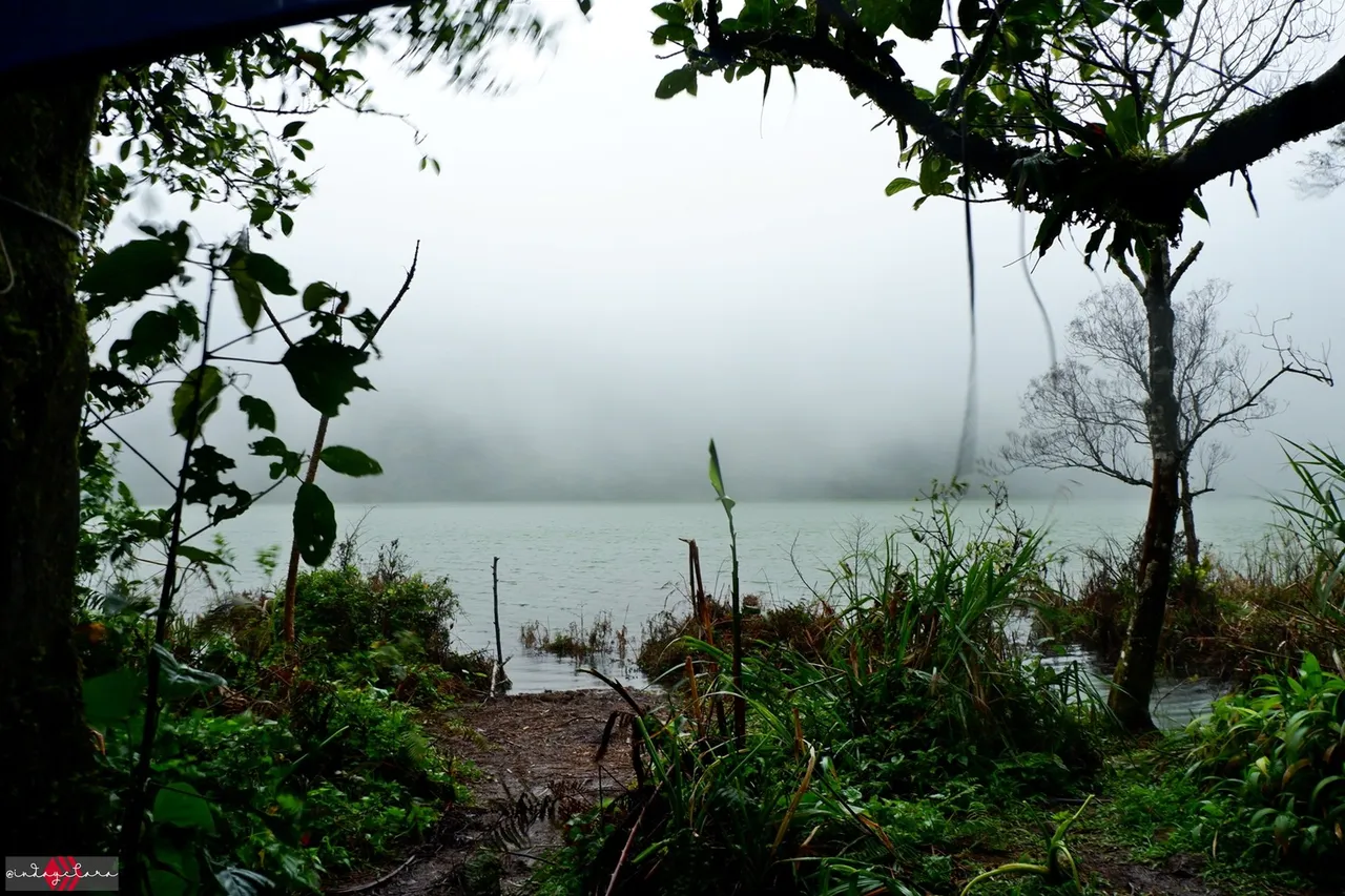 DSCF0336.JPG