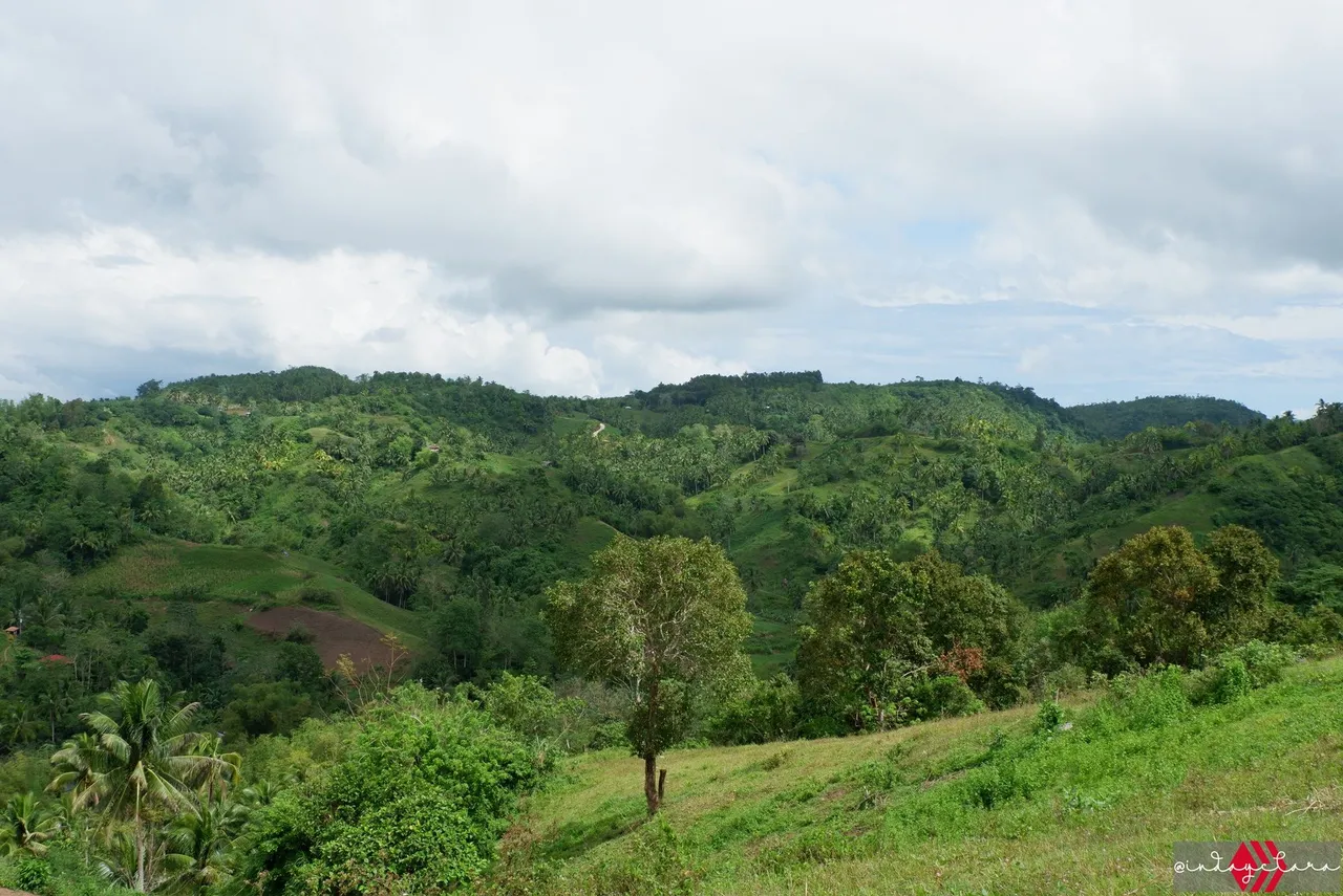 DSCF3273.JPG