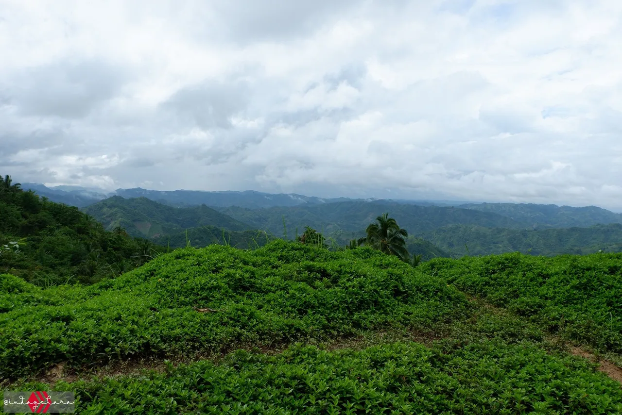 DSCF3362.JPG