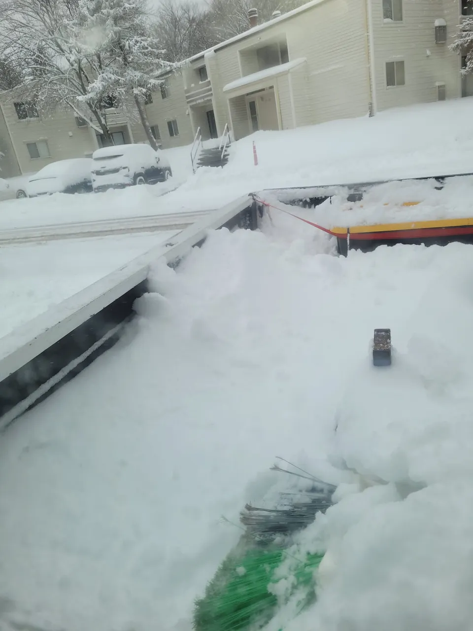 IMG-20220117-WA0012.jpg