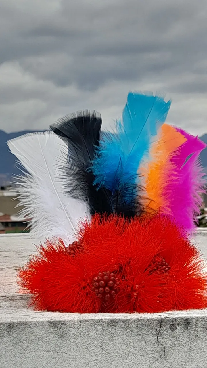 20220825_130433.jpg