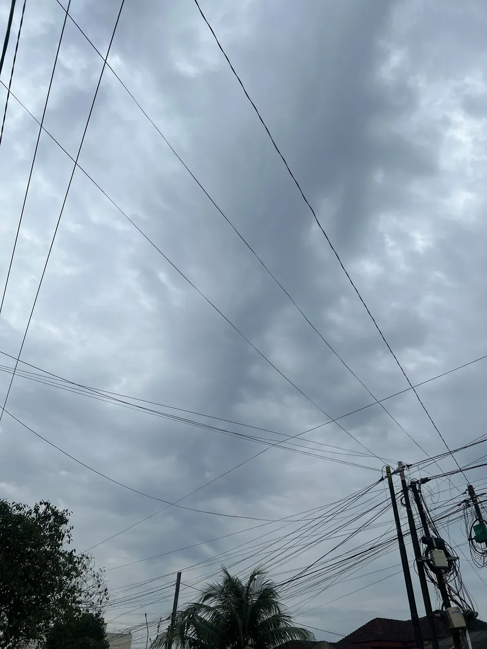 IMG_4596.jpeg