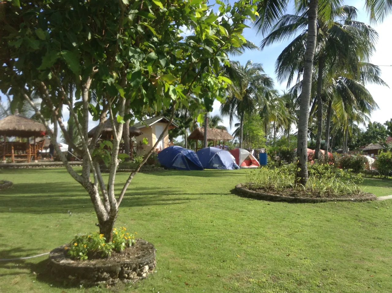IMG_4496.JPG
