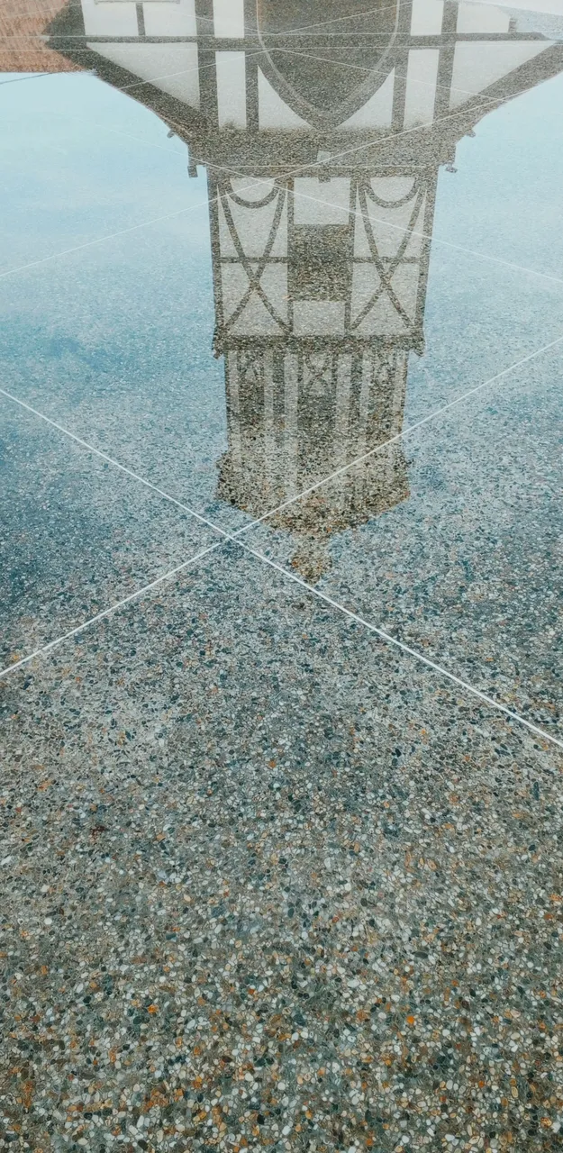 InShot_20230516_192052160.jpg