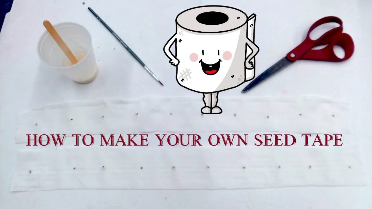 seed tape cover.jpg