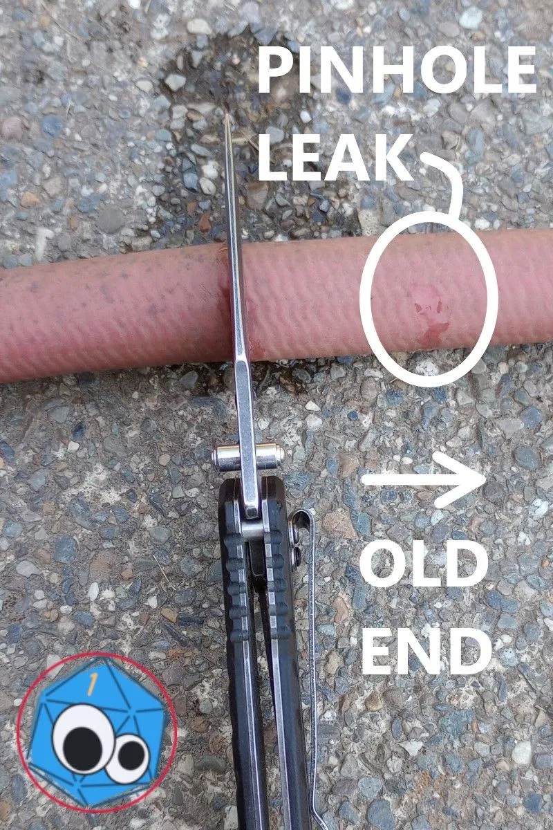 Hose1.jpg