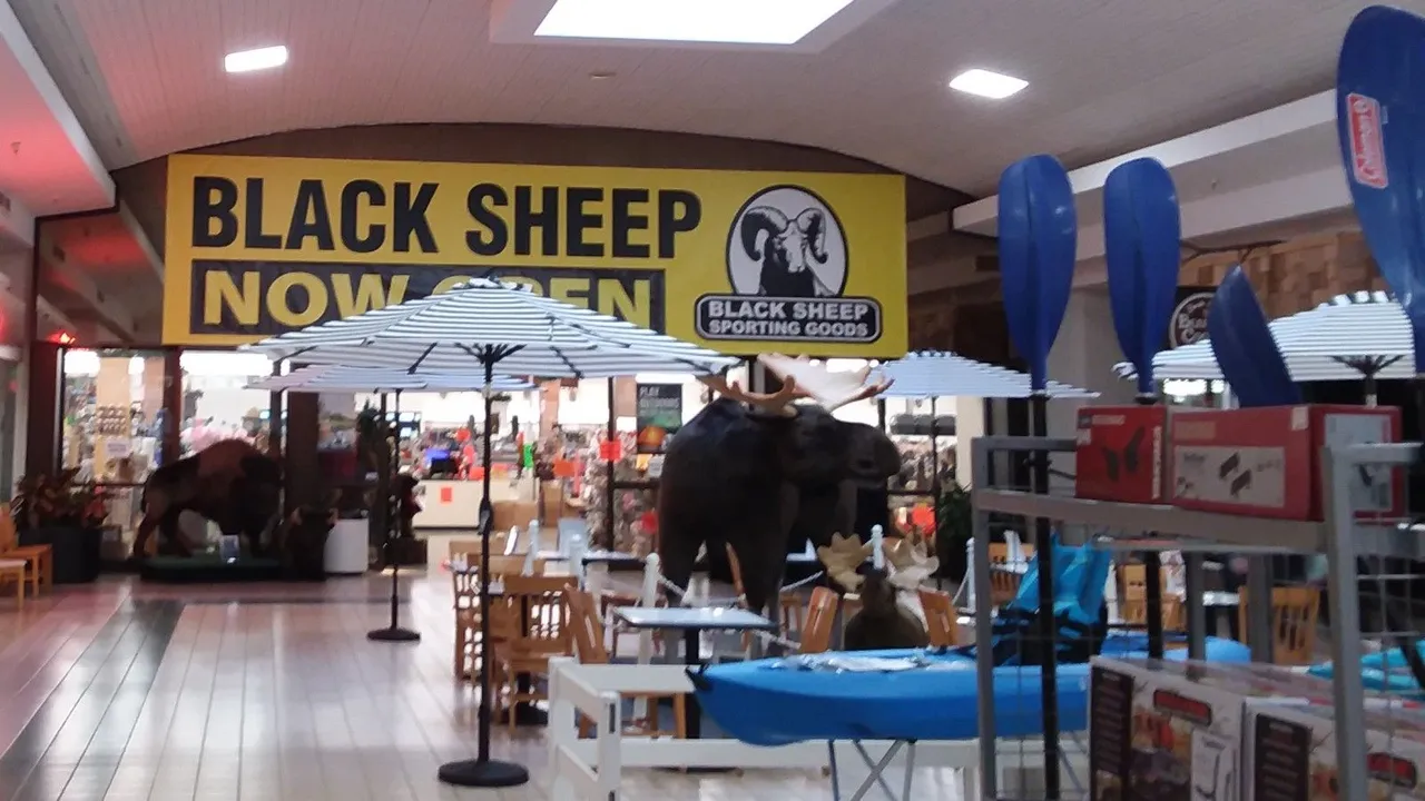 Black Sheep storefront.jpg
