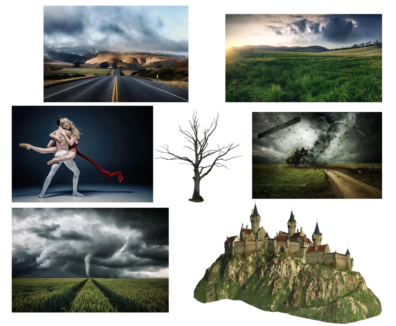 collage.jpg