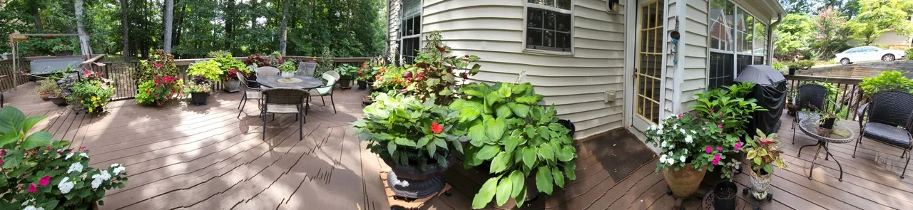20220716_114240.jpg
