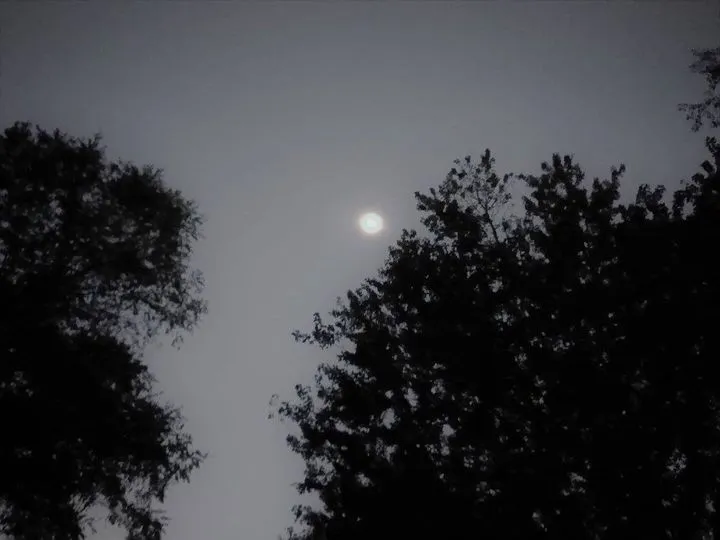 Eclipse.jpg