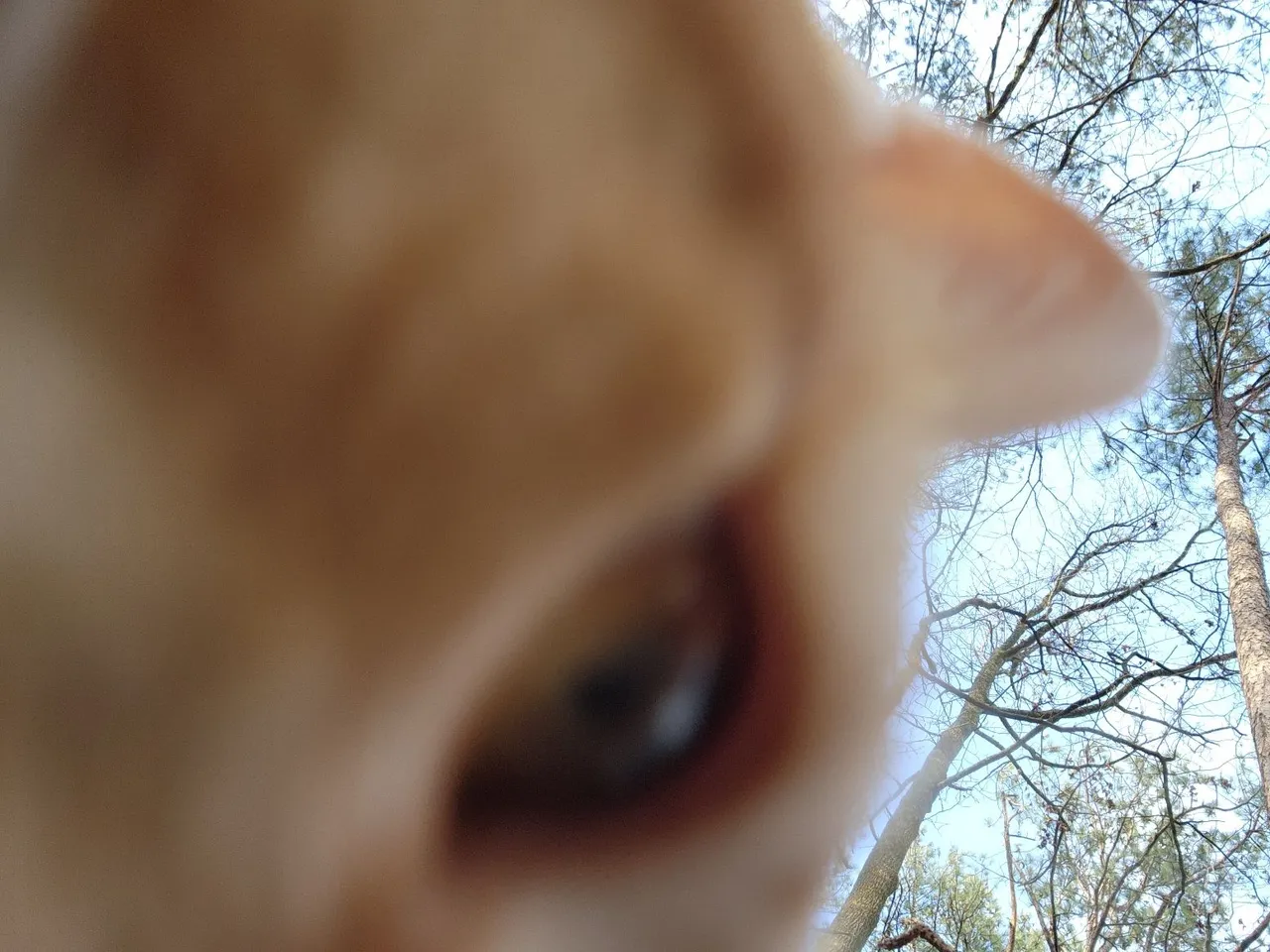 20221231_155216.jpg