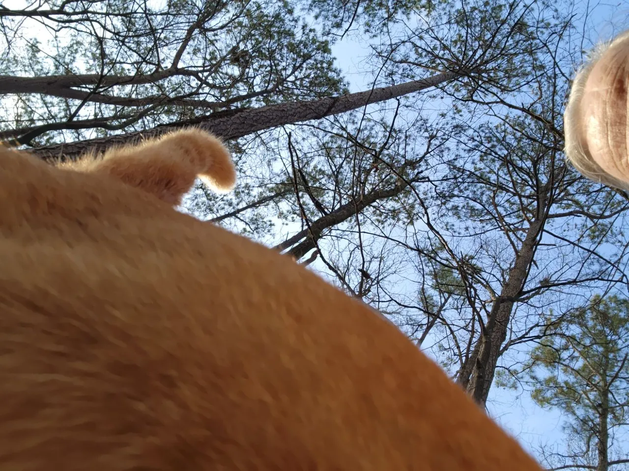 20221231_155206.jpg
