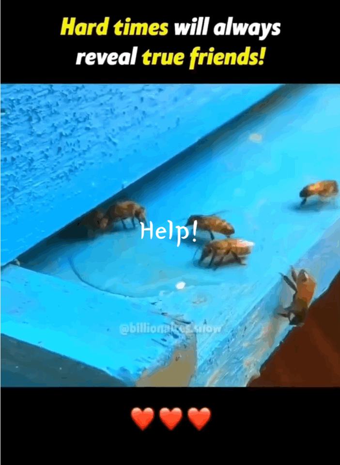 IMB_7IyVyK.gif