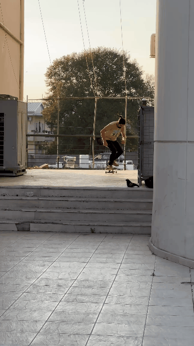 IMG_20231005_194746.gif