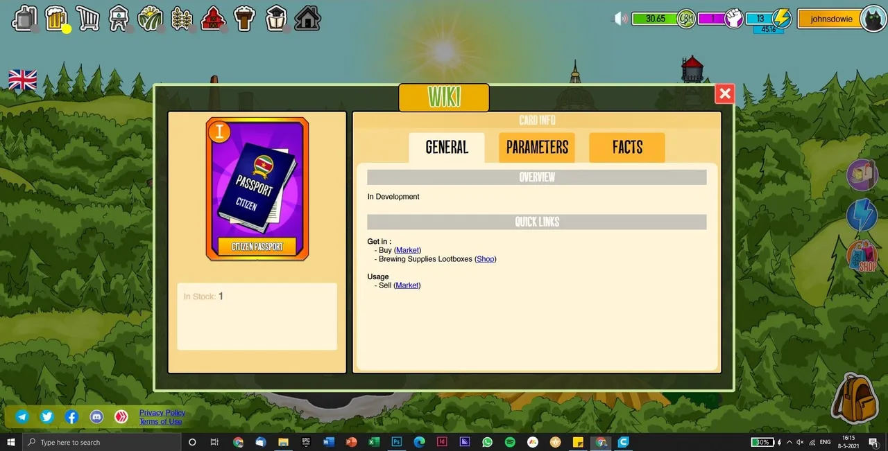 Bag.jpg