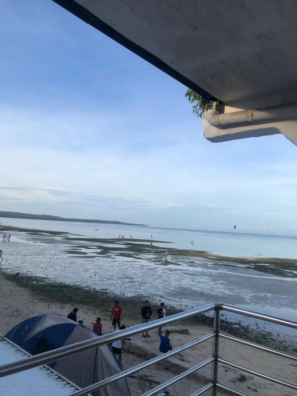 IMG_4187.jpeg