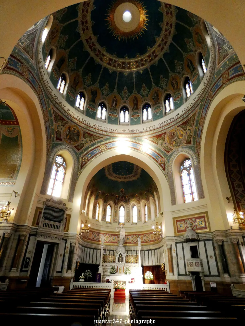 P1010695_acopia.jpg