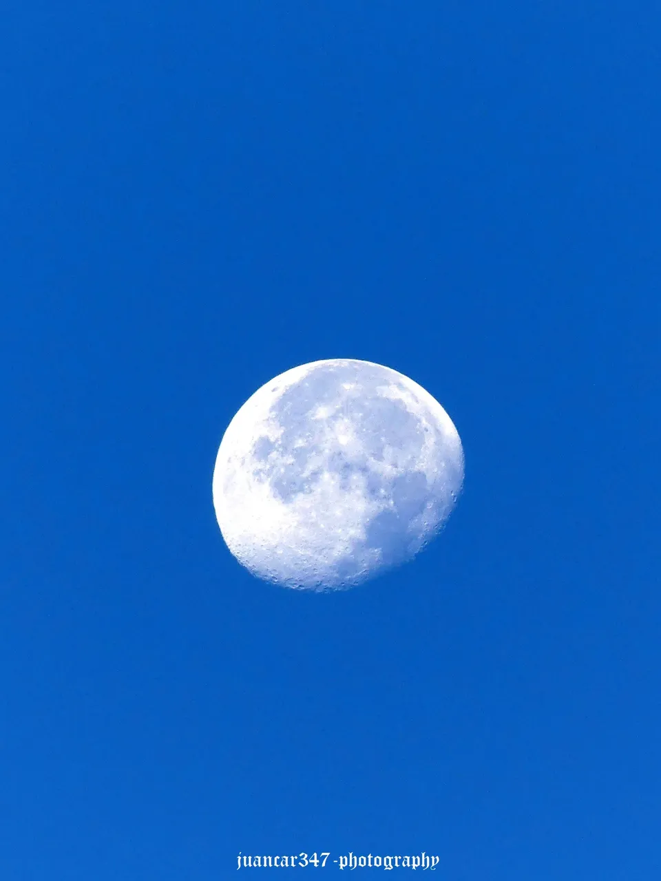 P1220126_acopia.jpg