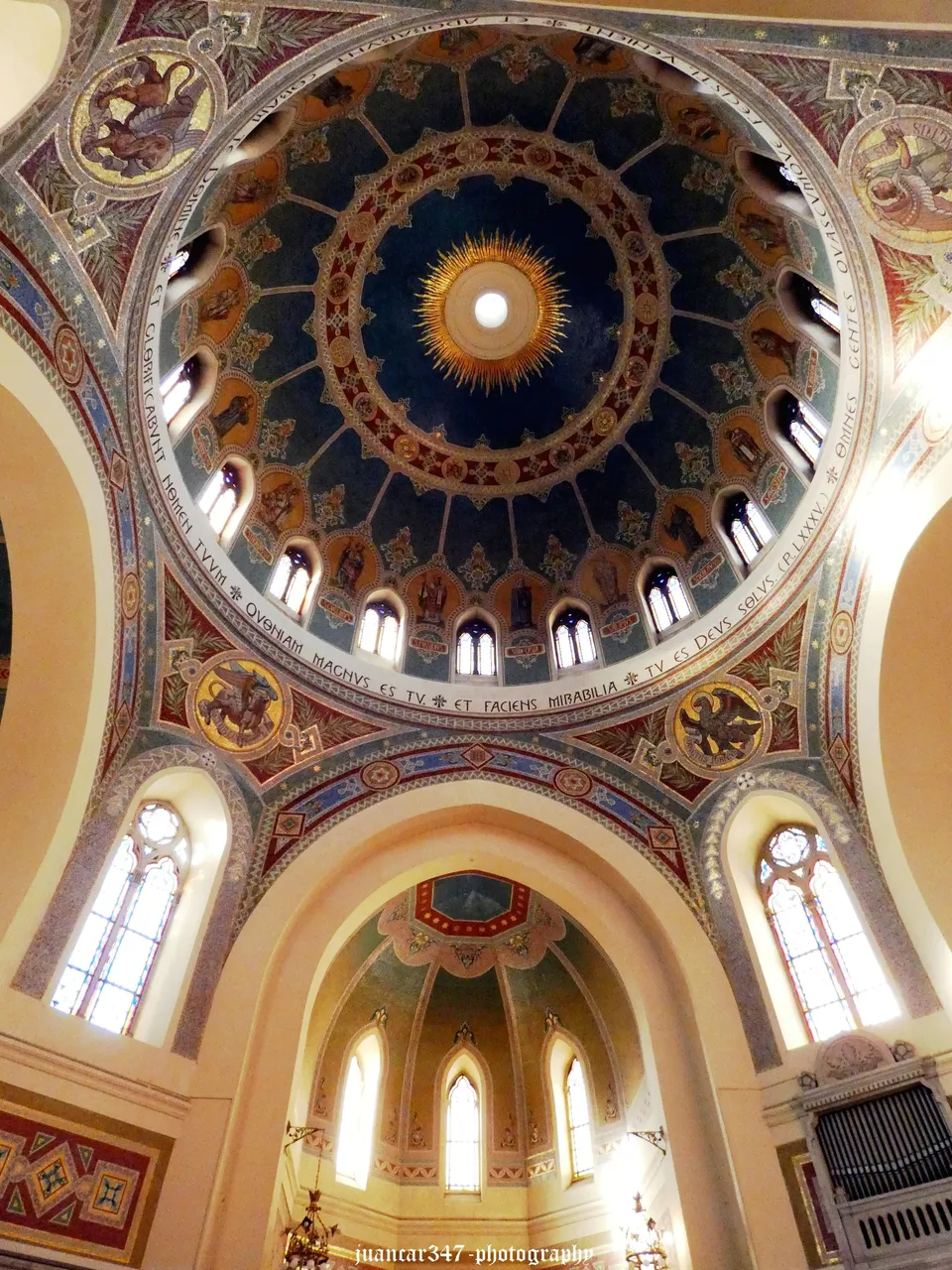 P1010710_acopia.jpg