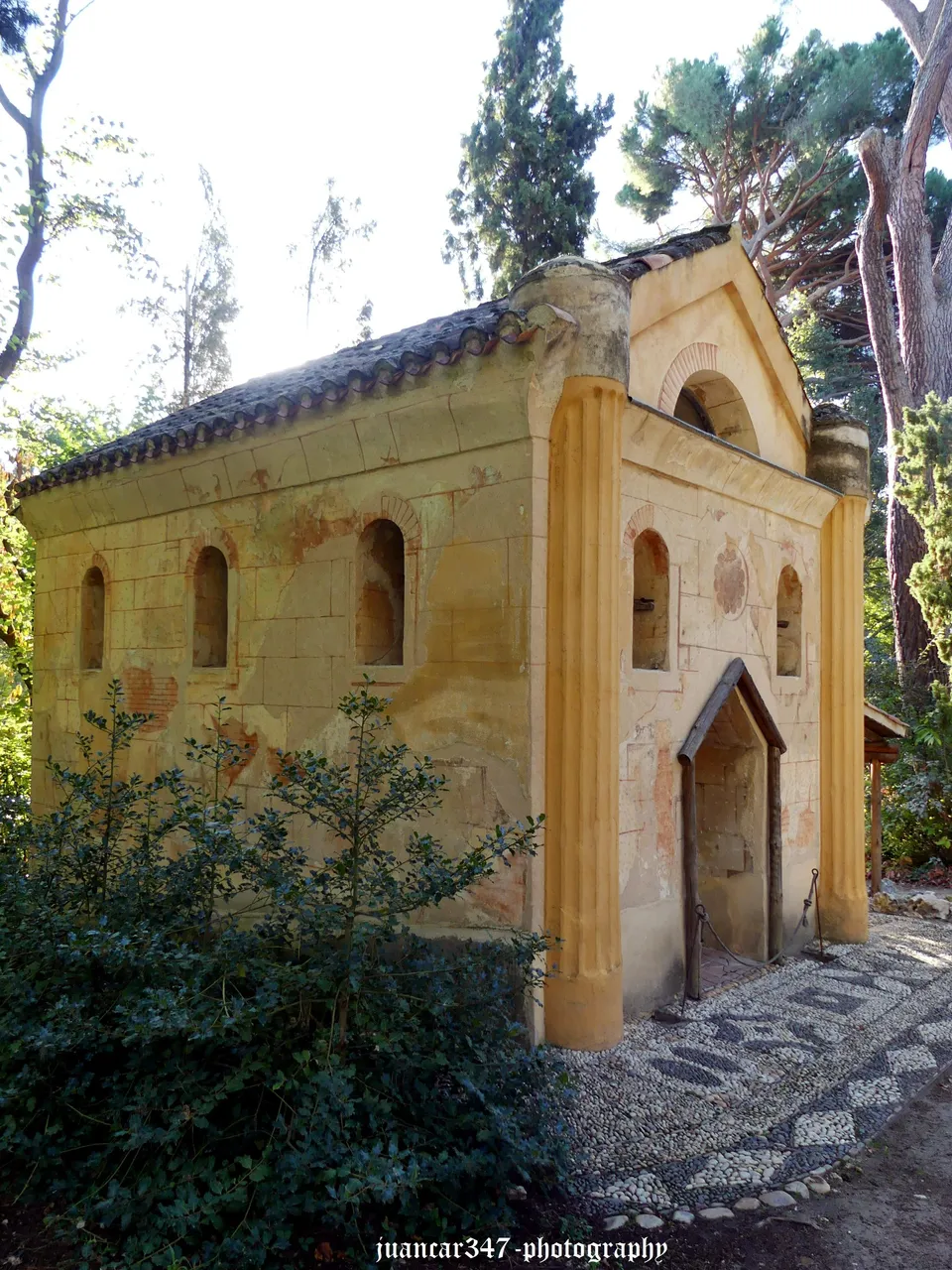 P1220360_acopia.jpg